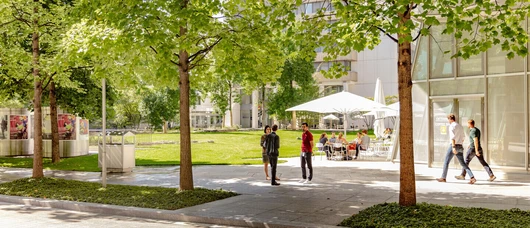 People talking on campus  Two people in conversation amongst trees and lawns on campus
